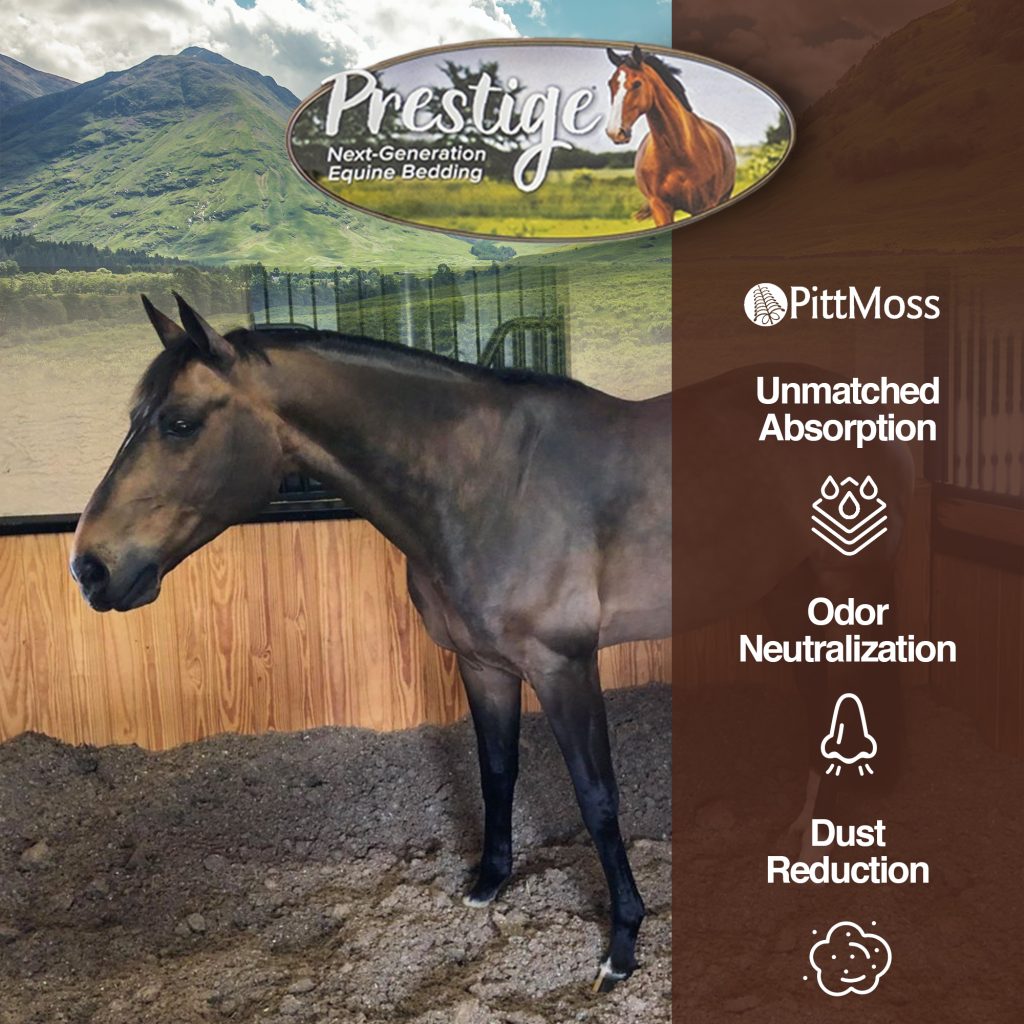 Prestige Equine Bedding PittMoss